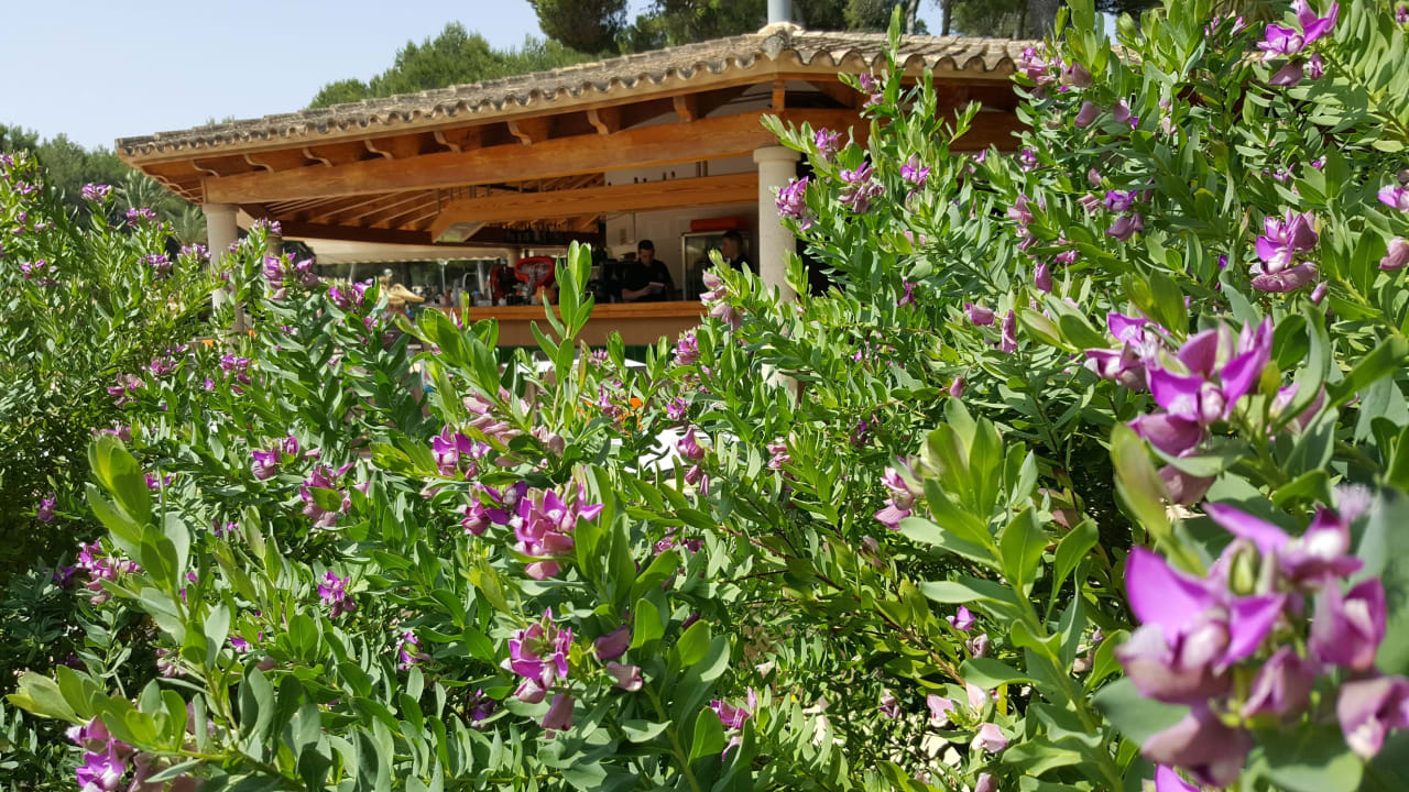 Garten Hotel Exagon Park