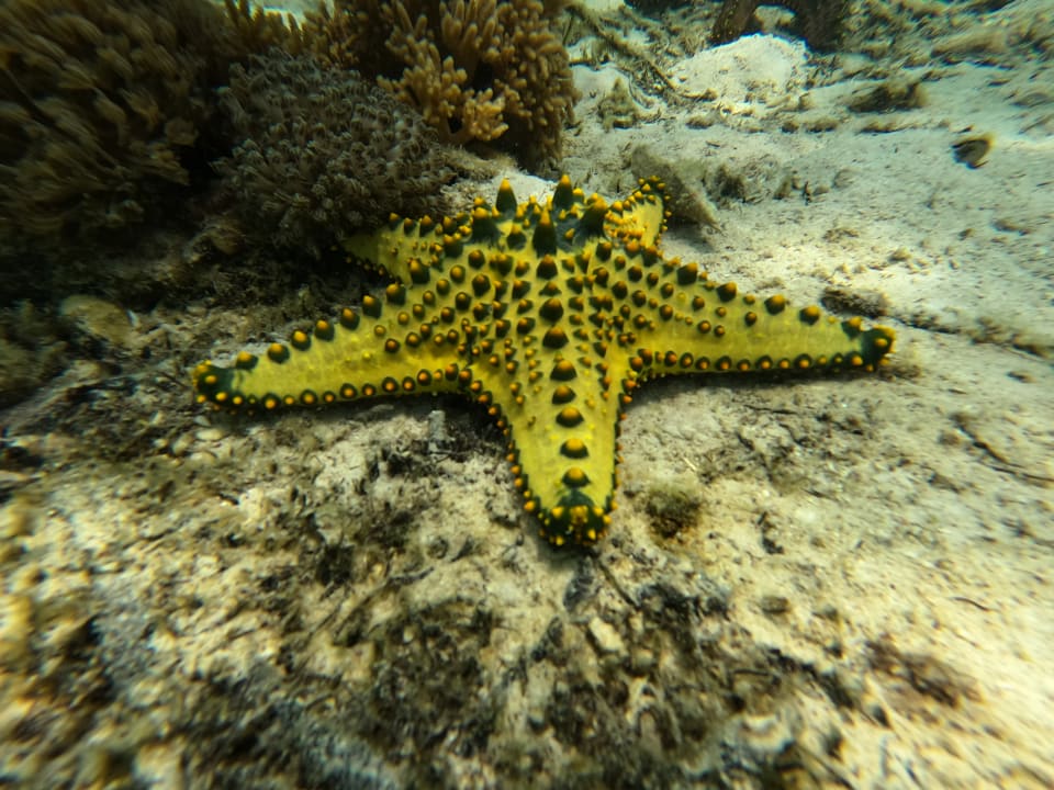 Strand Reef & Beach Resort