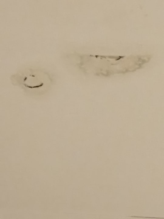 Zimmer Bella Vista Resort Hurghada