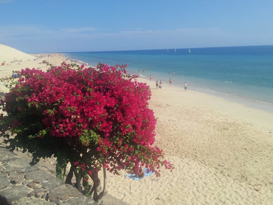 Strand von Jandia ROBINSON JANDIA PLAYA