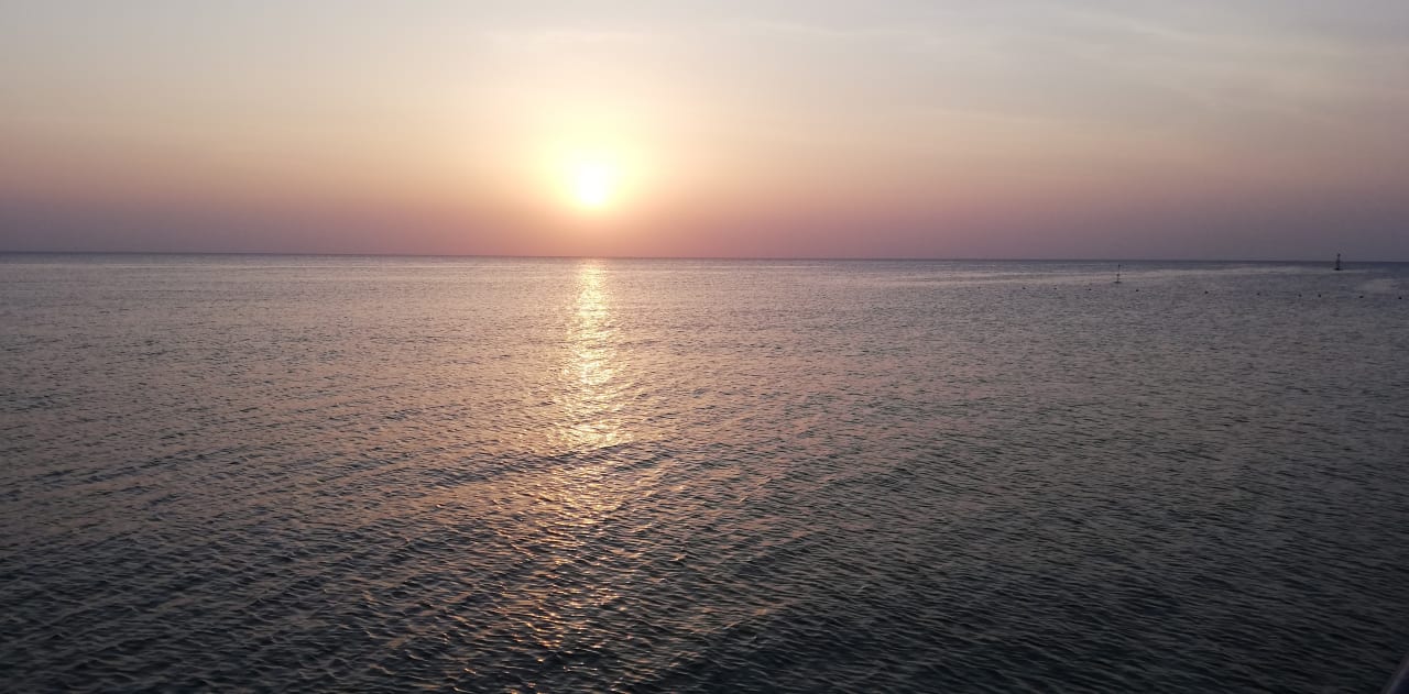 Strand Pickalbatros Palace Hotel-Port Ghalib