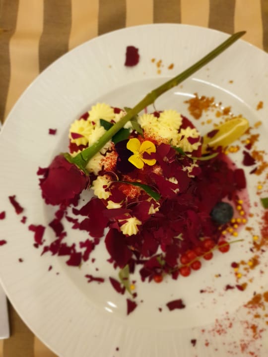 Gastro Hotel Delphin Imperial