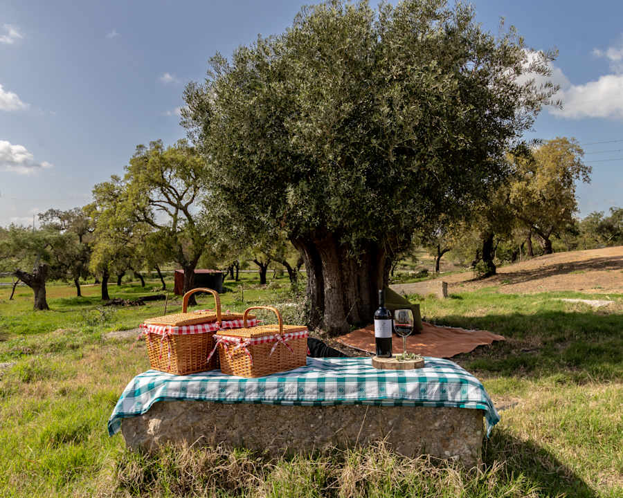 Sport & Freizeit Hotel Monte do Giestal - Casas de Campo & Spa