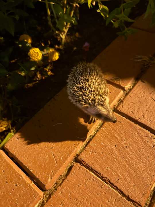 Sonstiges TUI Magic Life Belek