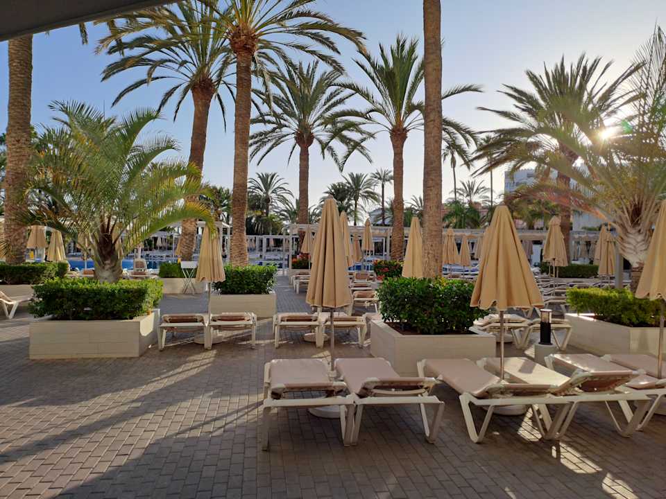 Pool Hotel Riu Papayas