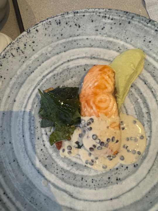 Gastro Paloma Finesse