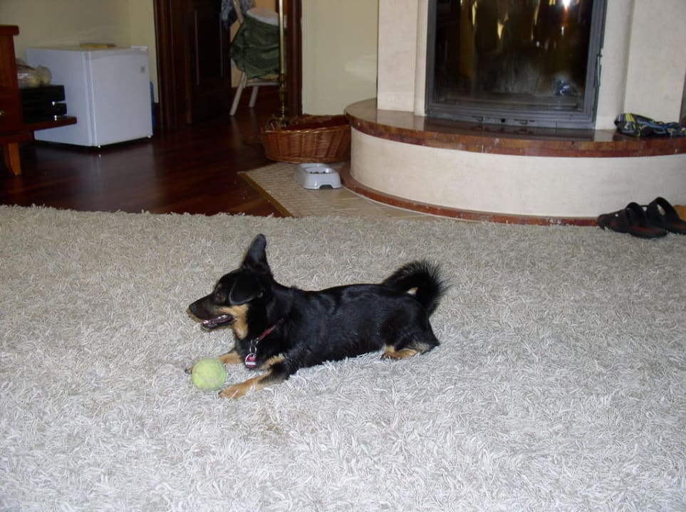 Ein Gast im Appartement Pension Stachowiak Family