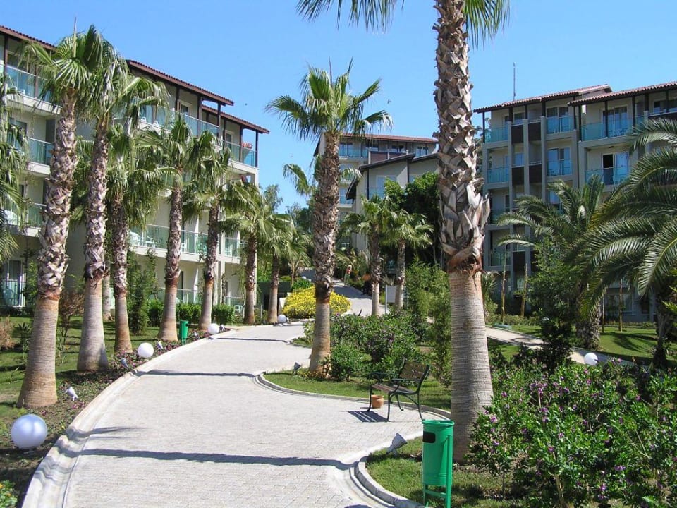 Hotel ogród Sealife Buket Resort & Beach