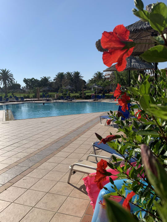 Pool Anissa Beach & Village