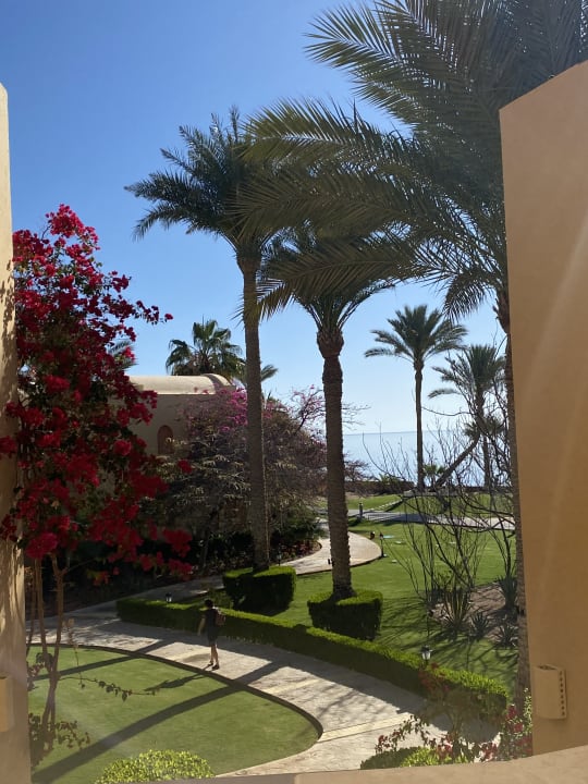 Gartenanlage Steigenberger Coraya Beach - Adults only