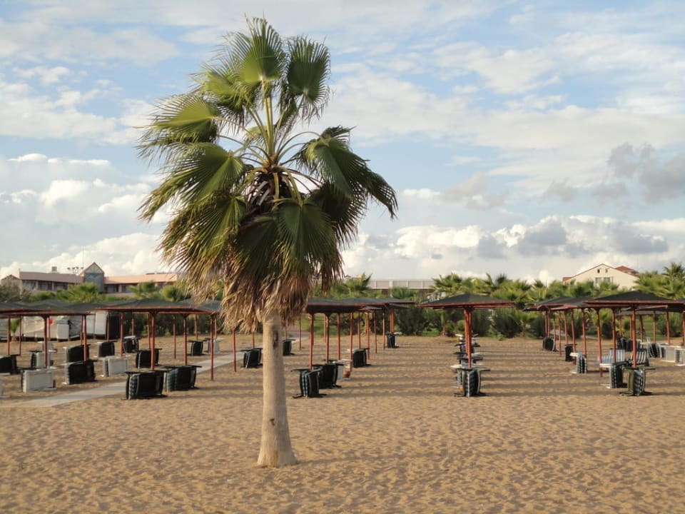 Riesenstrand Hotel Süral Resort