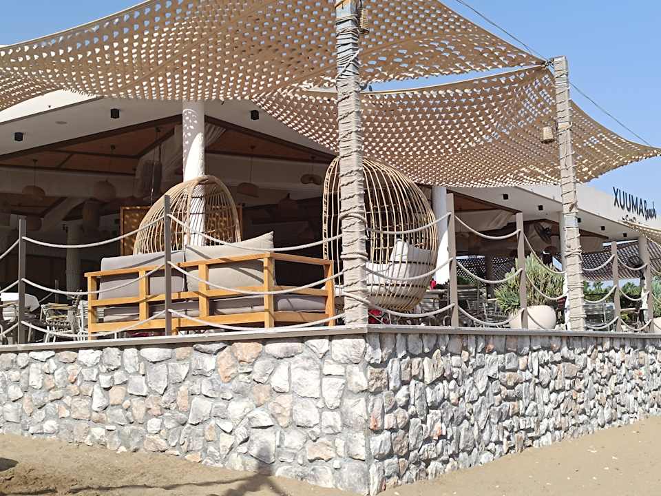 Strand Seashell Vega