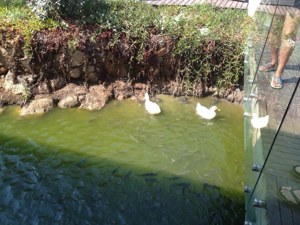 Jiva Beach Resort Jiva Beach Resort