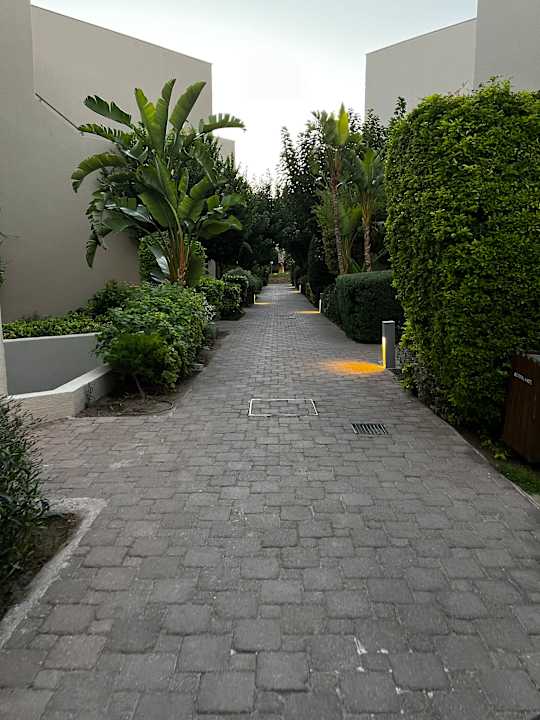 Gartenanlage Atlantica Aegean Blue