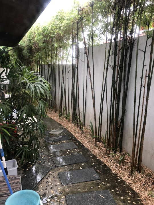 Gartenanlage Samui Blu