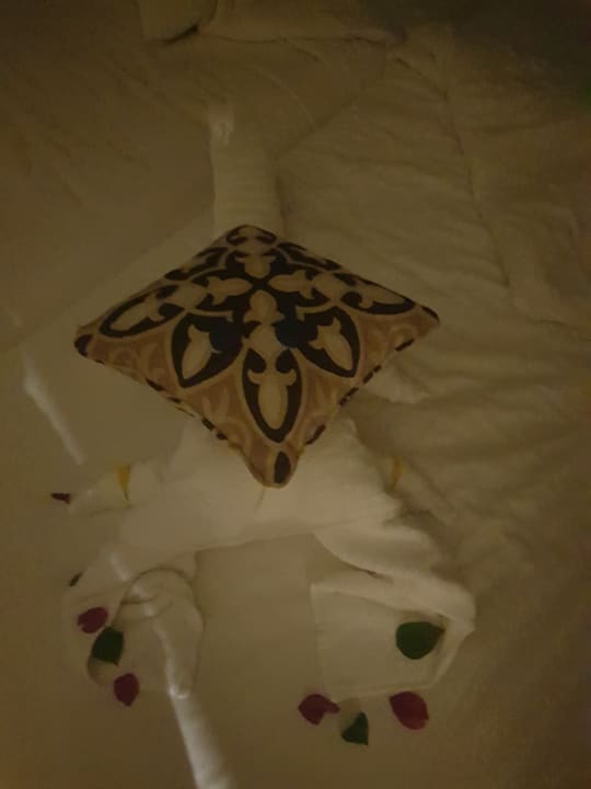 Zimmer Jaz Dar EL Madina