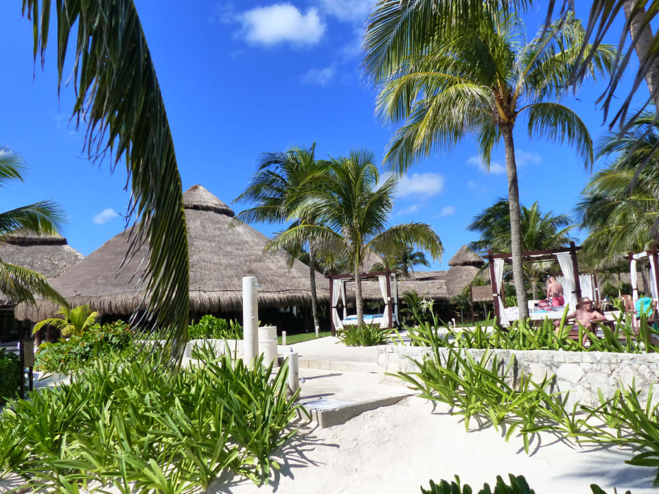 Gartenanlage Akumal Bay Beach & Wellness Resort
