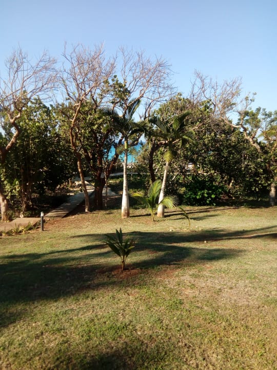 Gartenanlage Sirenis Tropical Varadero