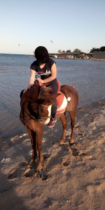 Strand Palm Royale Resort - Soma Bay