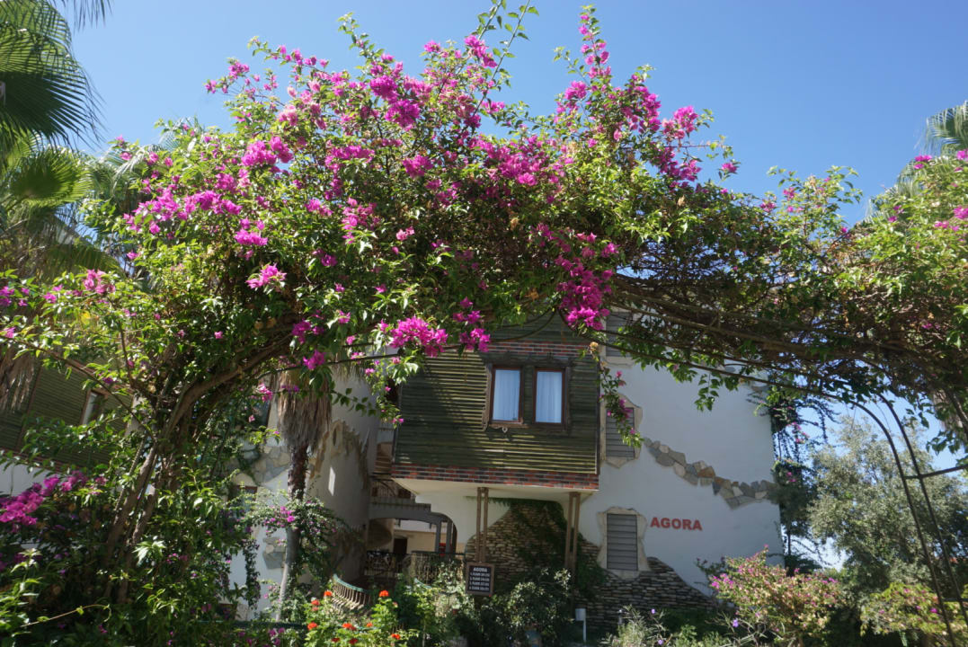 Garten Hotel Defne Dream