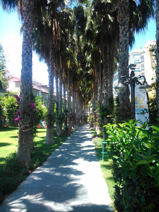 Weg zum Strand Hotel Gardenia Beach
