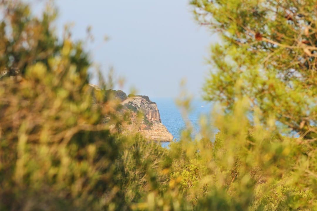 Piękny widok z pokoju Flipflop Cala Romantica