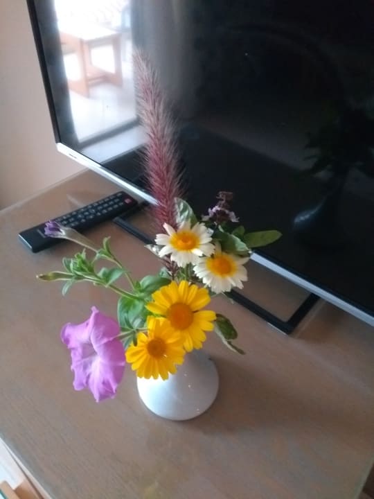 Zimmer Regina Resort and Aqua Park Hurghada