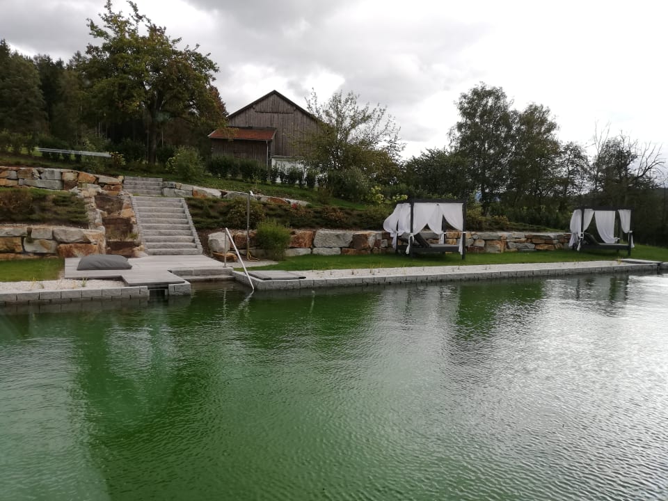 Pool ULRICHSHOF Nature · Family · Design