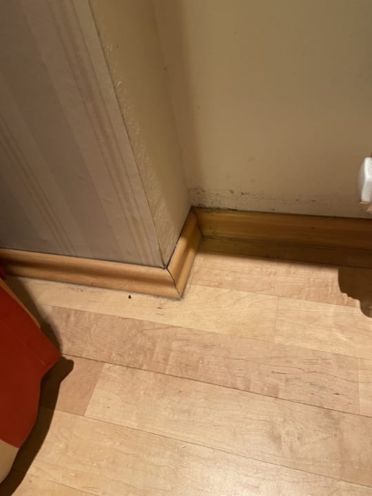 Zimmer Hotel Zum Schiff