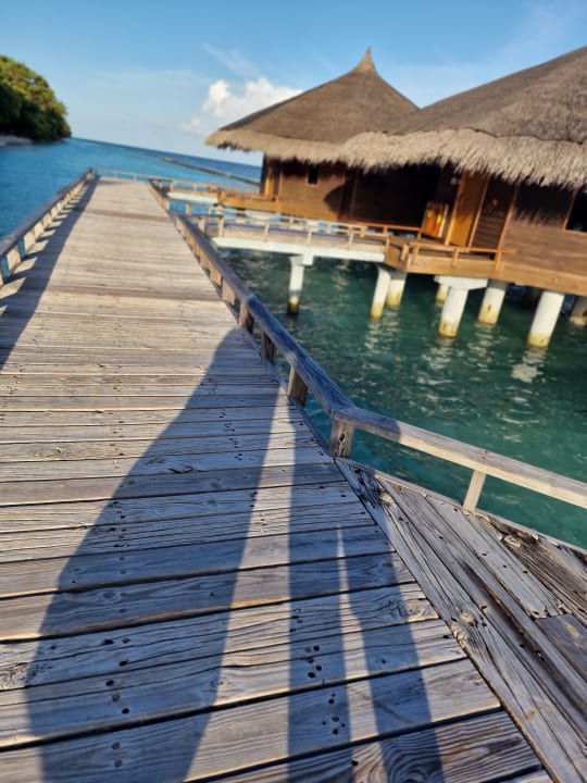 Sonstiges Kuramathi Maldives