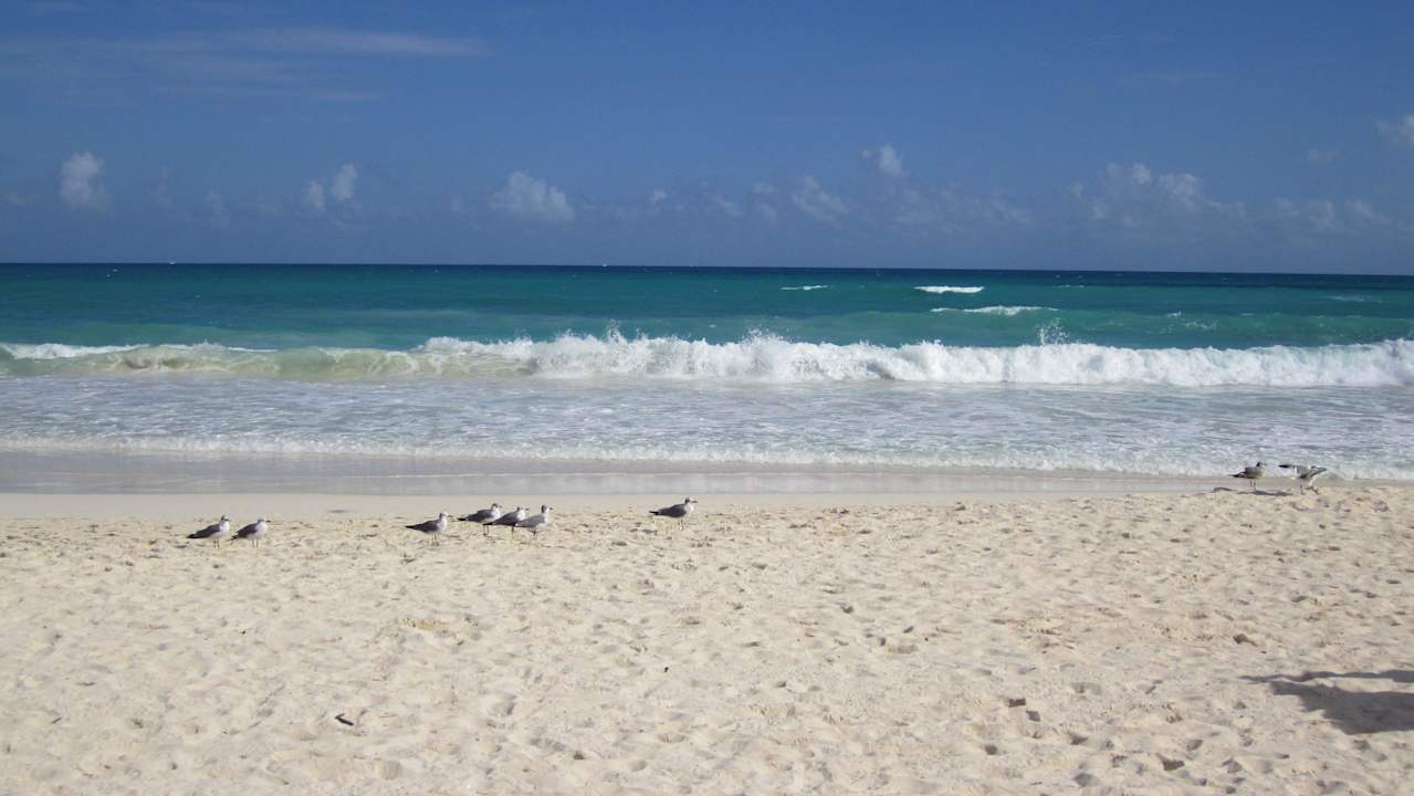Strand JOIA Paraiso by Iberostar