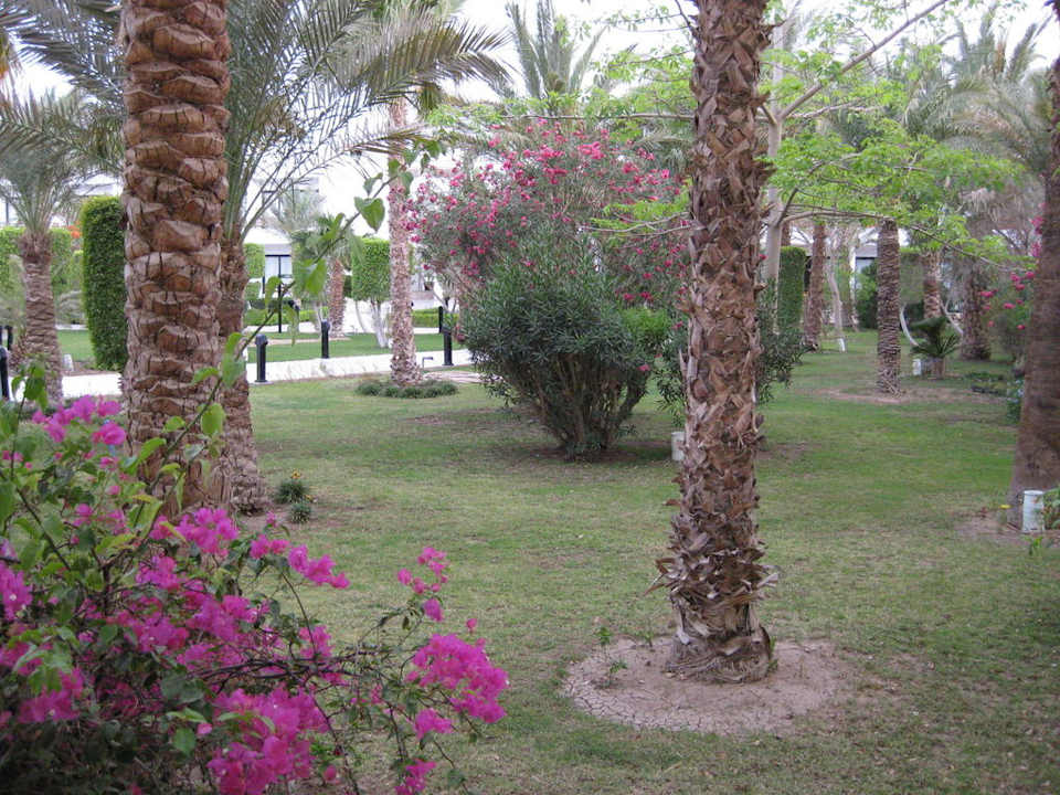 Bild vom Zimmerausblick The Grand Hotel Hurghada