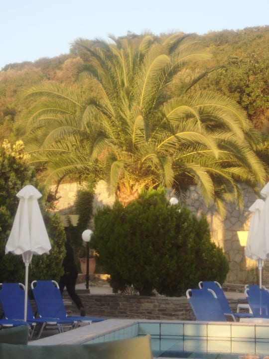 Basen Aristoteles Holiday Resort & Spa