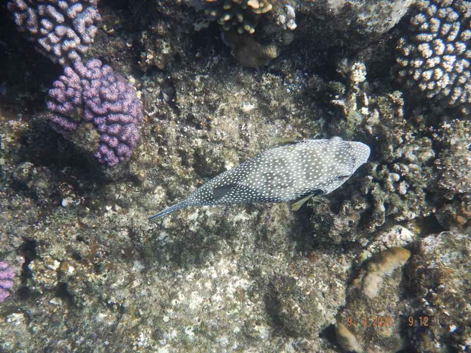 Strand Casa Mare Resort