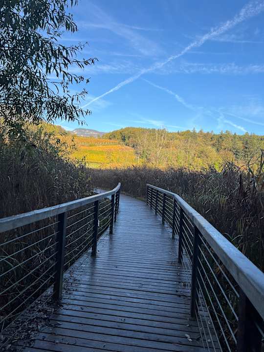 Sonstiges Gartenhotel Moser