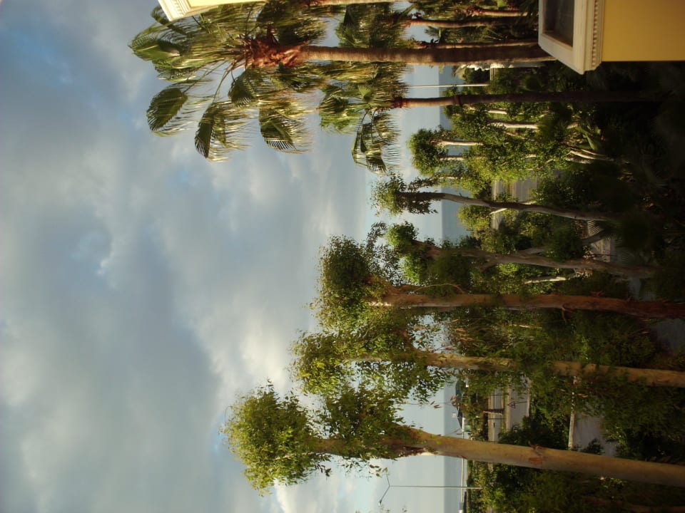  z mojego pokoju Hotel Yetkin