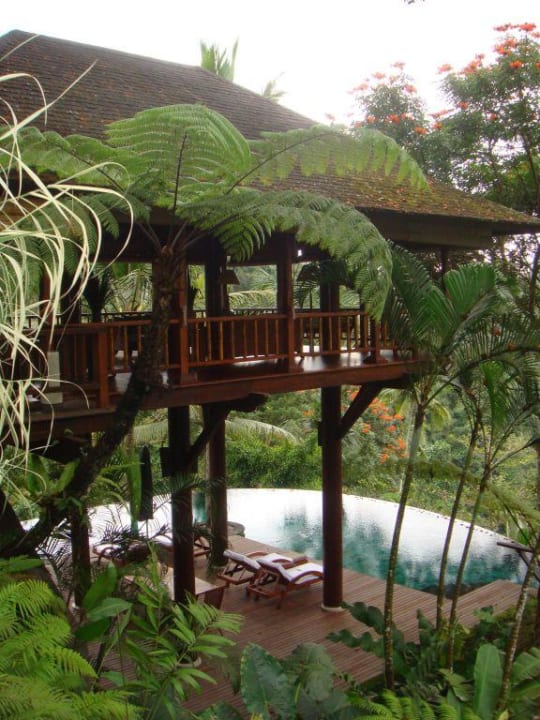 Baumhaus Forest-Estate COMO Shambhala Estate