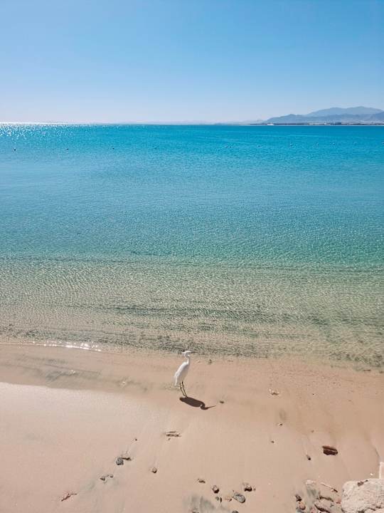 Strand Palm Royale Resort - Soma Bay