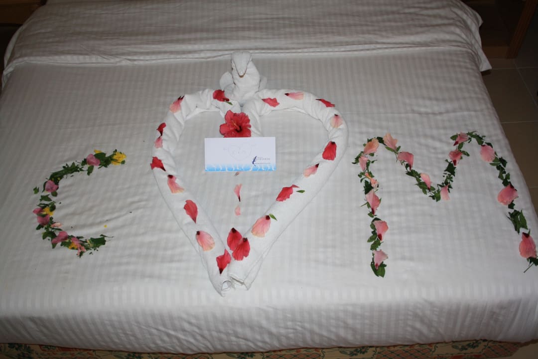 Superschön hergerichtet Beach Albatros Resort