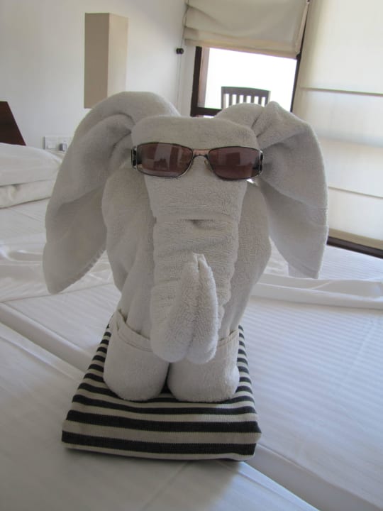 Schöne Einfälle Goldi Sands Hotel