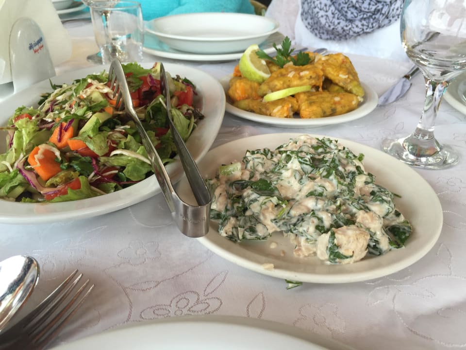 Typisch Griechische Vorspeisen Hotel South Coast