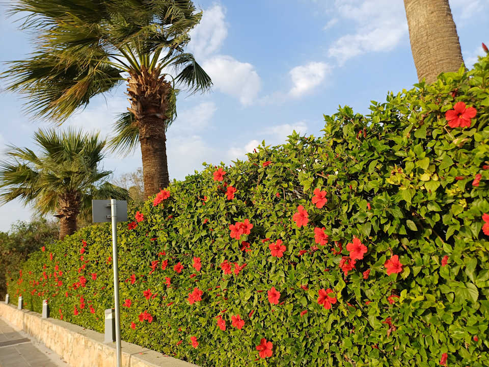 Außenansicht Asterias Beach