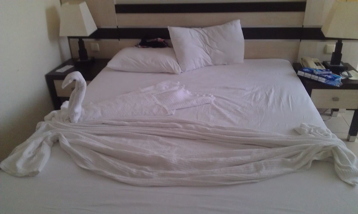 Bett Hotel Orfeus Park