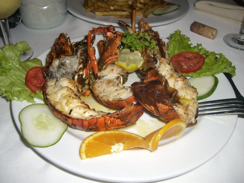 Hotel Summer Island Village Summer Island Maldives