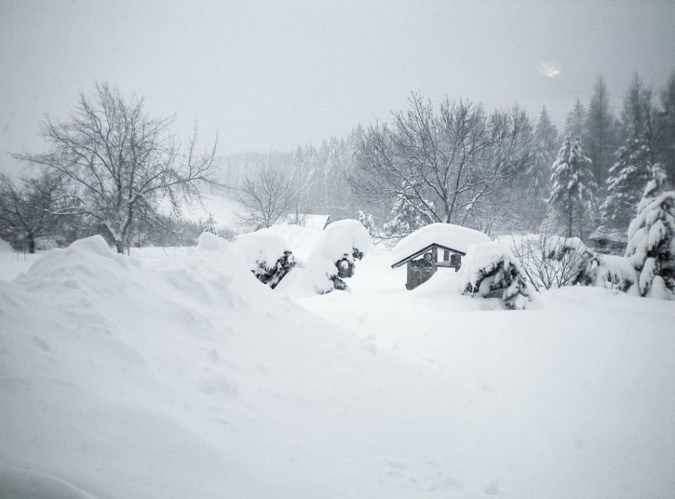Einfach schön-oder? Hotel Forstmeister
