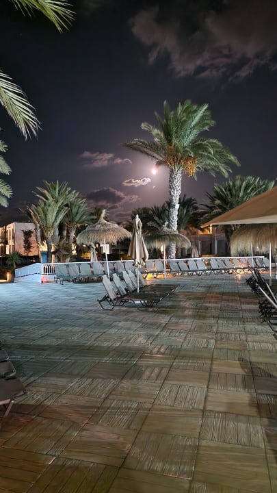 Gartenanlage Hotel Seabel Rym Beach Djerba