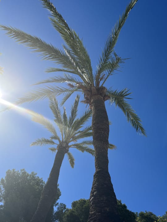 Ausblick BQ Belvedere Hotel