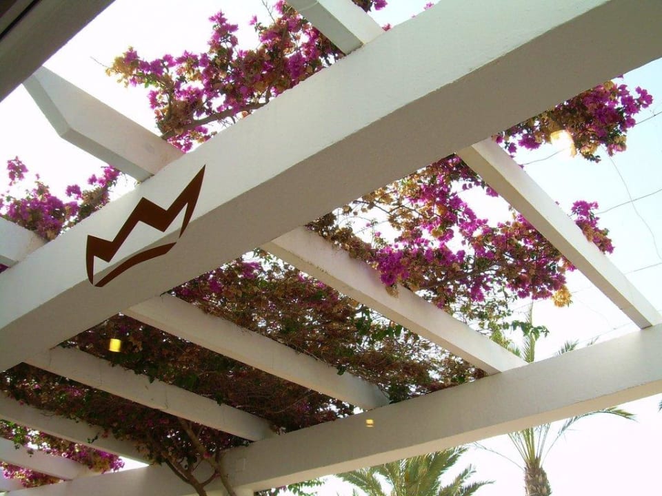 Frühstück Hotel Riu Palace Maspalomas Adults Only