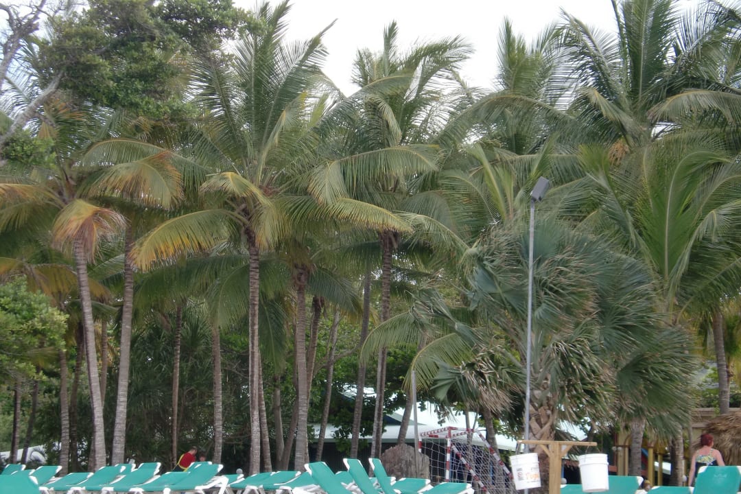 Urlaub April 013 Playabachata Hotel