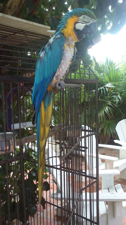 Sunny der Anlagenanimateur ;-) Sun Reef Village on Sea